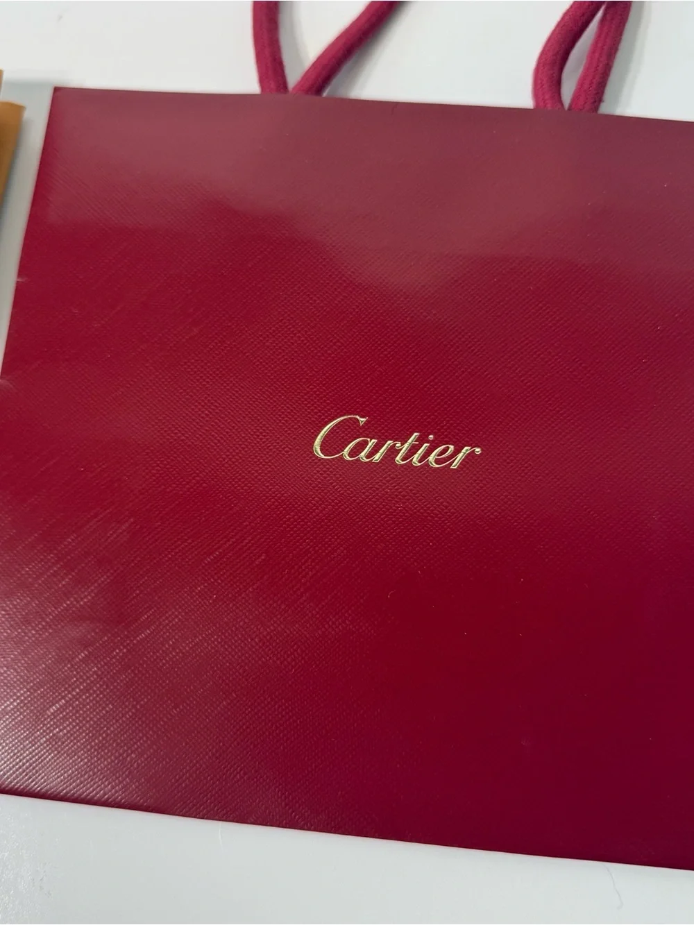 Louis Vuitton & Cartier Mini Shopping Gift Bags Set of 2